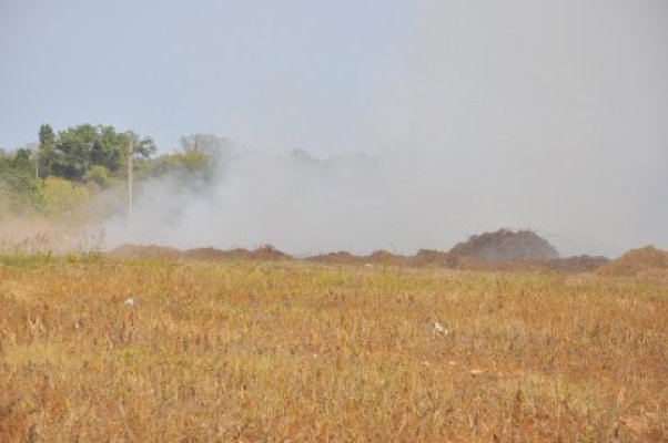 Pompierii s-au luptat vineri cu incendiile